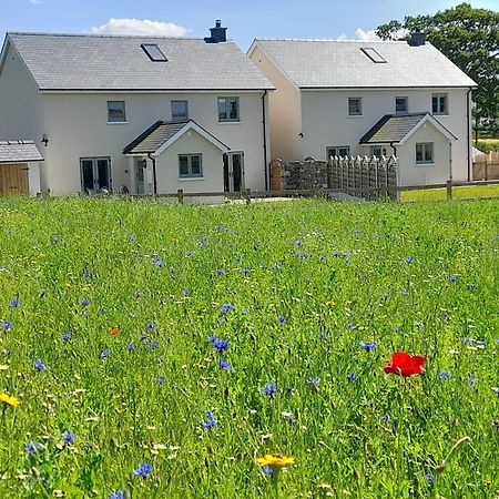 Brecon Beacons Cottage With Stunning Country Views Myddfai エクステリア 写真