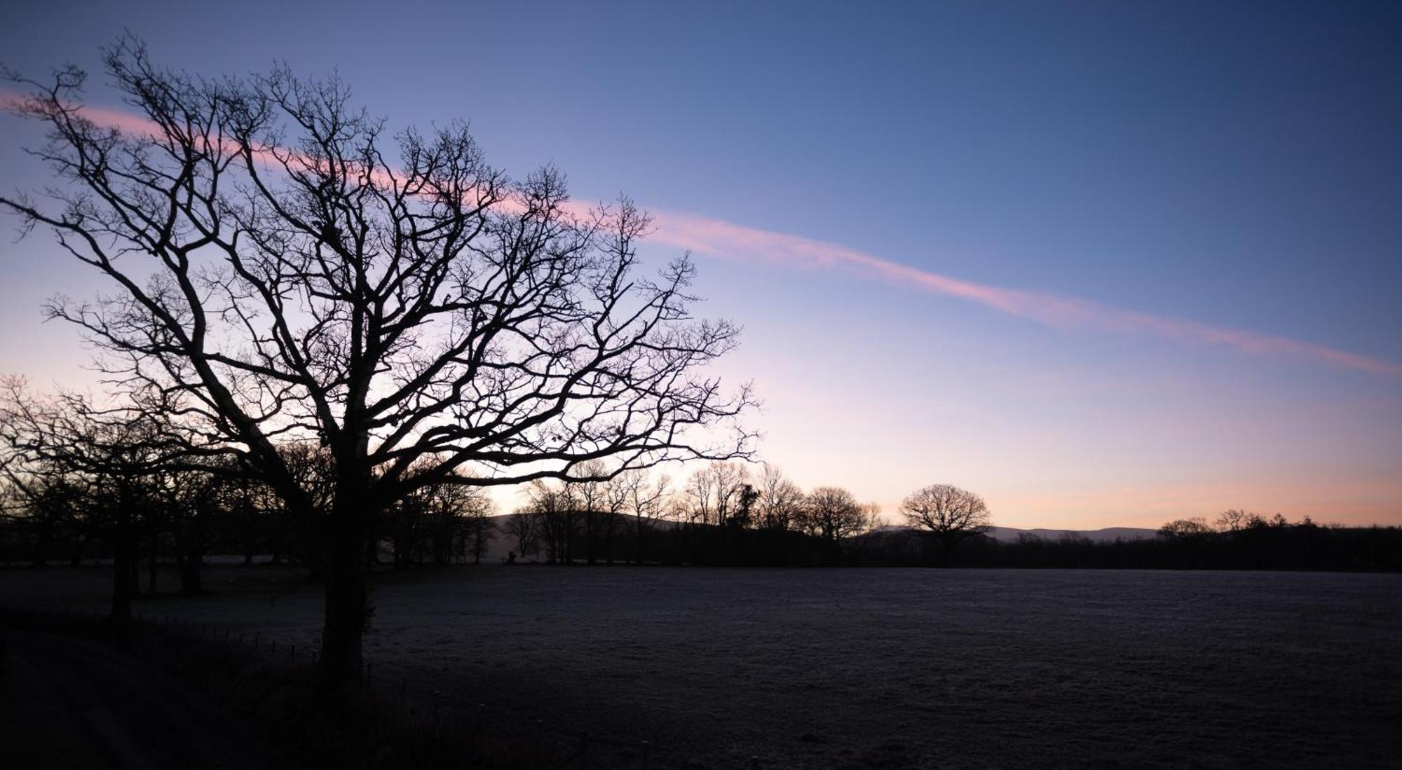Brecon Beacons Cottage With Stunning Country Views Myddfai エクステリア 写真