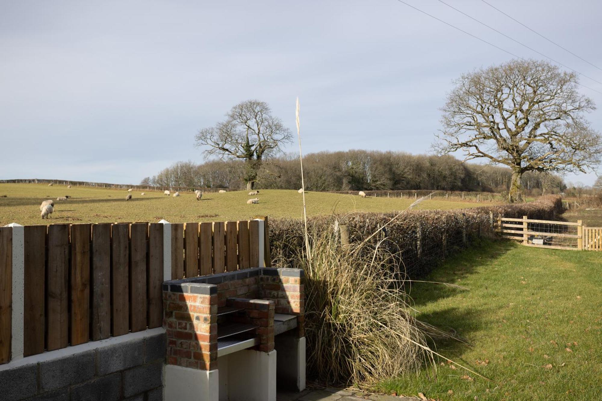 Brecon Beacons Cottage With Stunning Country Views Myddfai エクステリア 写真