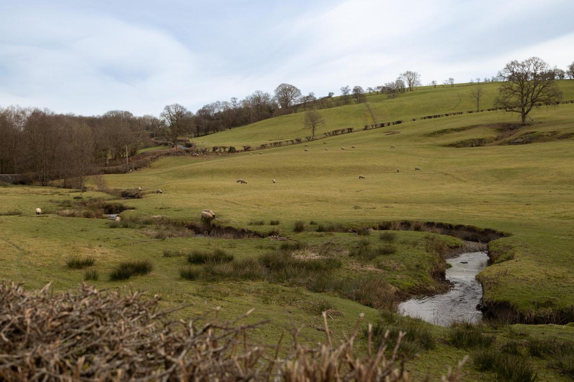 Brecon Beacons Cottage With Stunning Country Views Myddfai エクステリア 写真