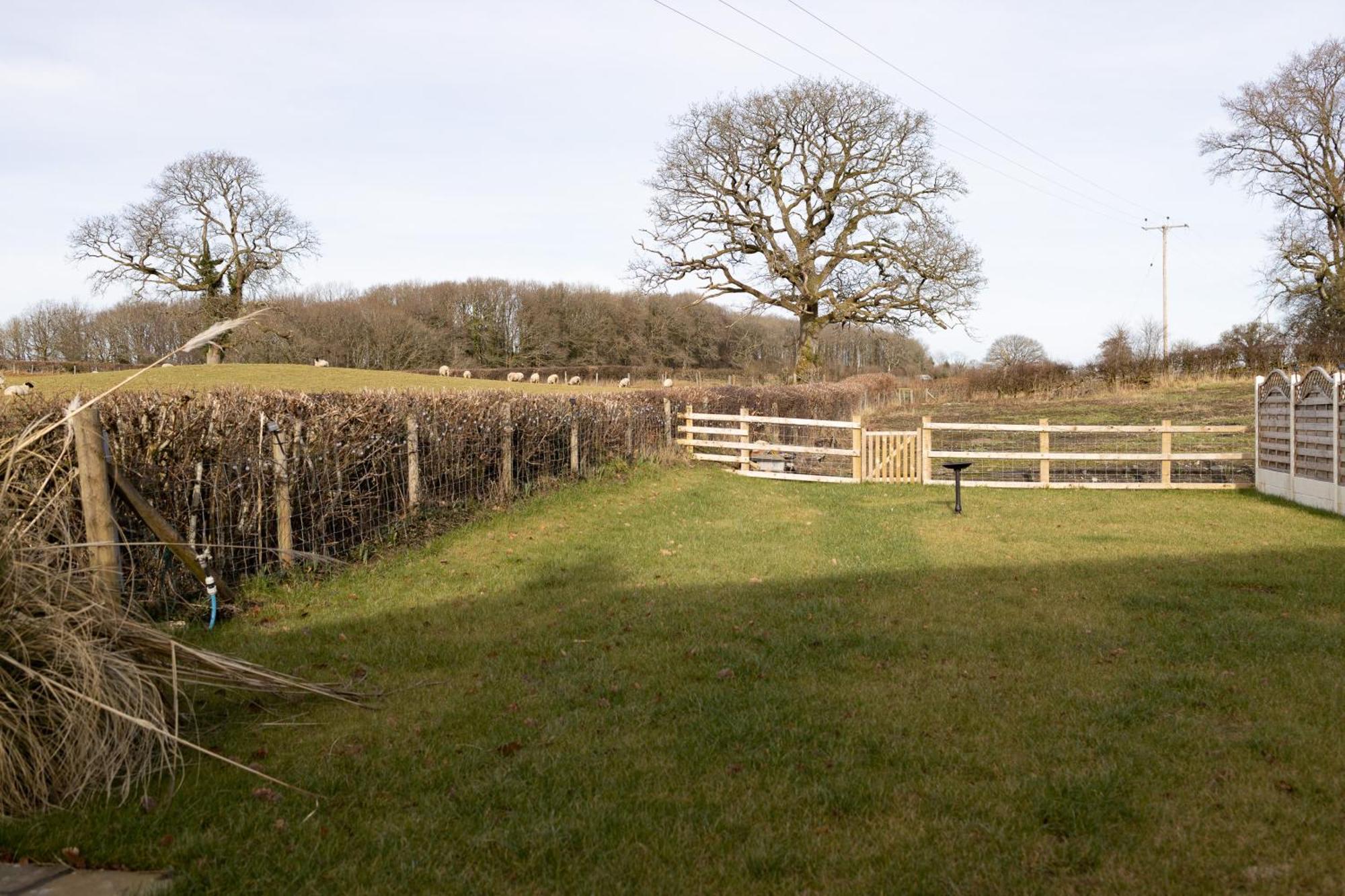 Brecon Beacons Cottage With Stunning Country Views Myddfai エクステリア 写真