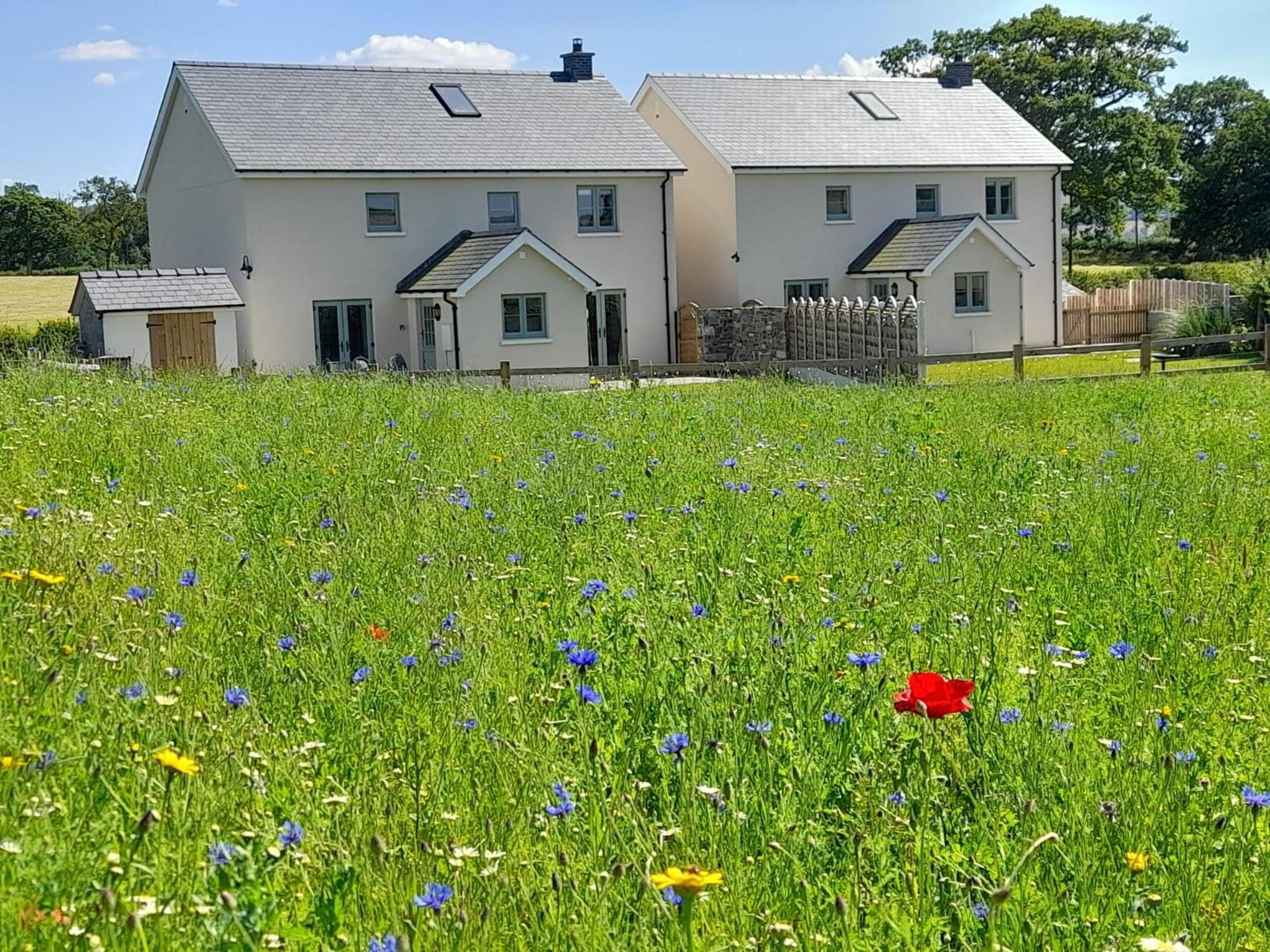 Brecon Beacons Cottage With Stunning Country Views Myddfai エクステリア 写真